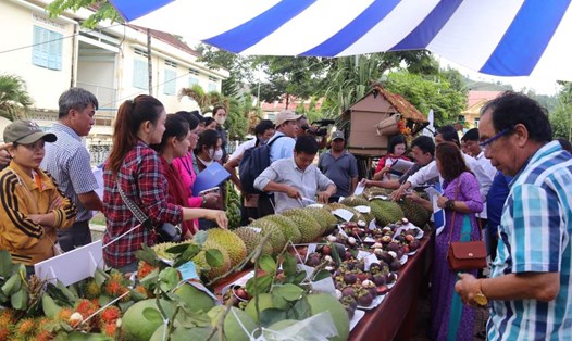 Du lịch xanh từ nông nghiệp đang được Khánh Hòa thúc đẩy tạo ra những sản phẩm thu hút du khách. Ảnh: Phương Linh