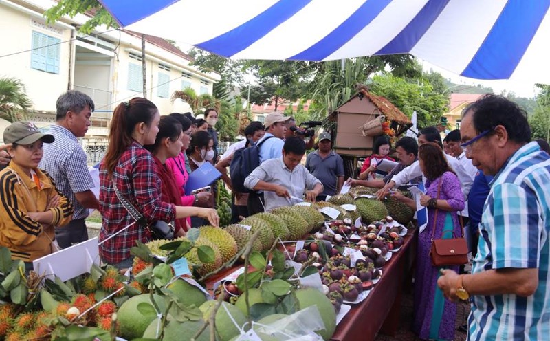 Du lịch xanh từ nông nghiệp đang được Khánh Hòa thúc đẩy tạo ra những sản phẩm thu hút du khách. Ảnh: Phương Linh