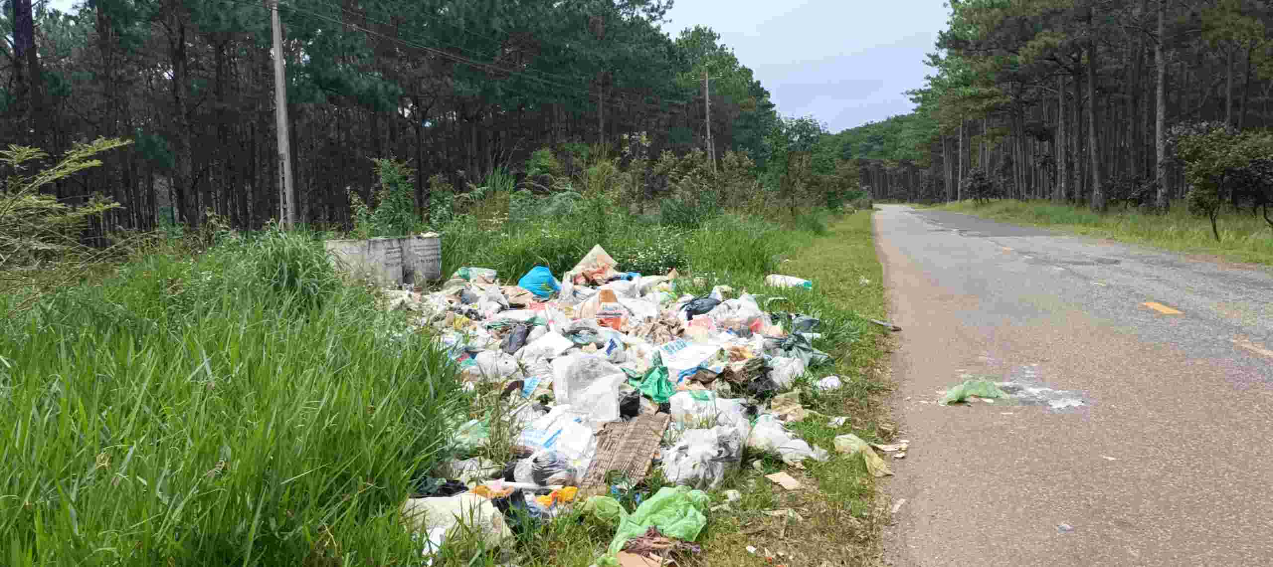 Not only in residential areas, outside residential areas, right next to pine forests and roads also form quite large waste dumps. Photo: Nguyen Quan