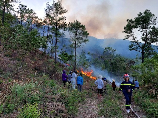 Vụ cháy rừng xảy ra tại xã Quảng Đông (huyện Quảng Trạch, tỉnh Quảng Bình). Ảnh: P. Hoàng