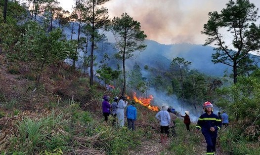 Vụ cháy rừng xảy ra tại xã Quảng Đông (huyện Quảng Trạch, tỉnh Quảng Bình). Ảnh: P. Hoàng