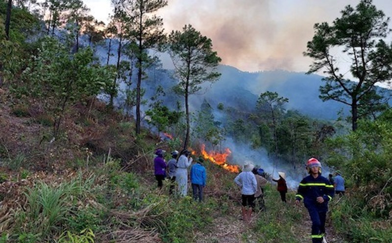 Vụ cháy rừng xảy ra tại xã Quảng Đông (huyện Quảng Trạch, tỉnh Quảng Bình). Ảnh: P. Hoàng