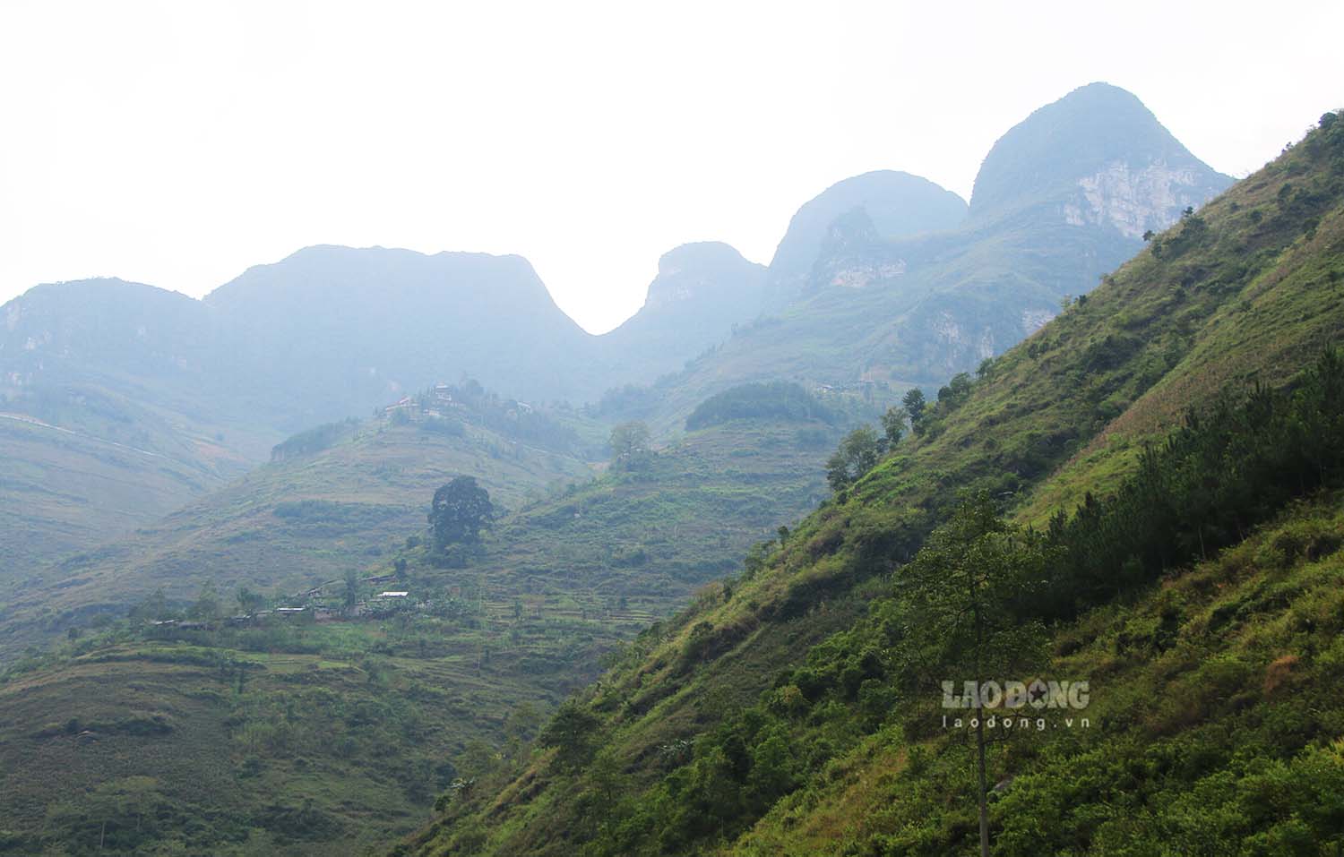 Above the mountain slopes, in harsh natural conditions, life continues.