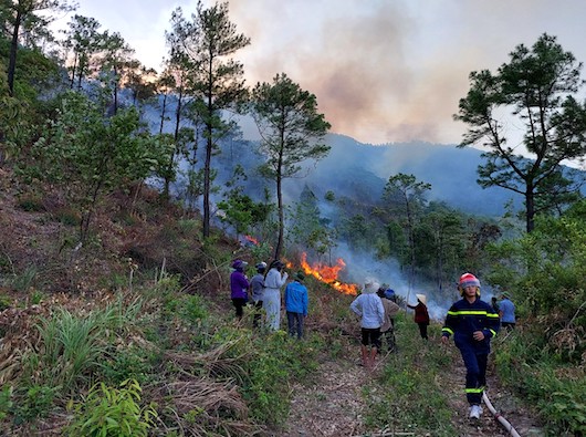 Vụ cháy rừng ở Quảng Bình vào ngày 12.8 nghi ngờ do người dân đốt thực bì. Ảnh: P.Hà