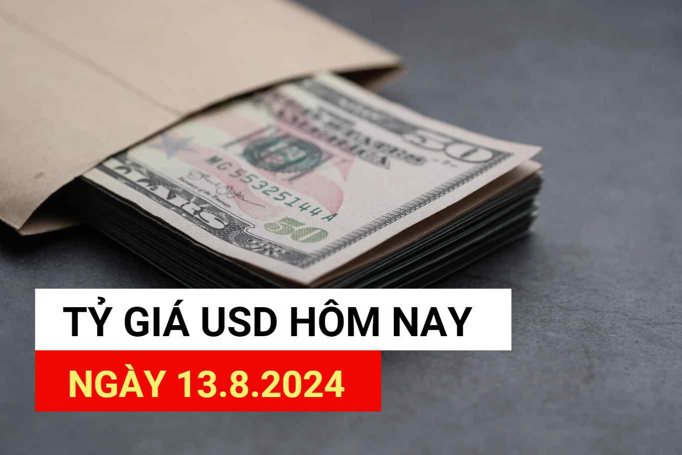 Tỷ giá USD hôm nay 13.8.2024.