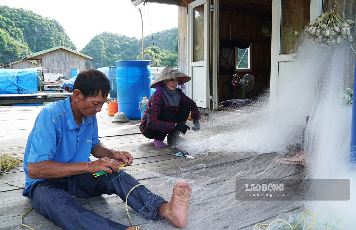 Ngư dân sửa ngư cụ tại làng chài Vung Viêng, TP Hạ Long. Ảnh: Đoàn Hưng