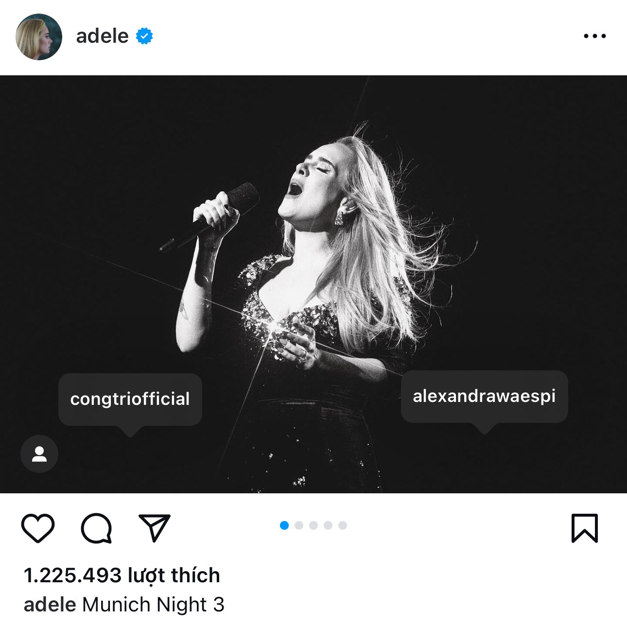 Adele's post on her personal page received more than 1.2 million likes. Photo: Instagram.