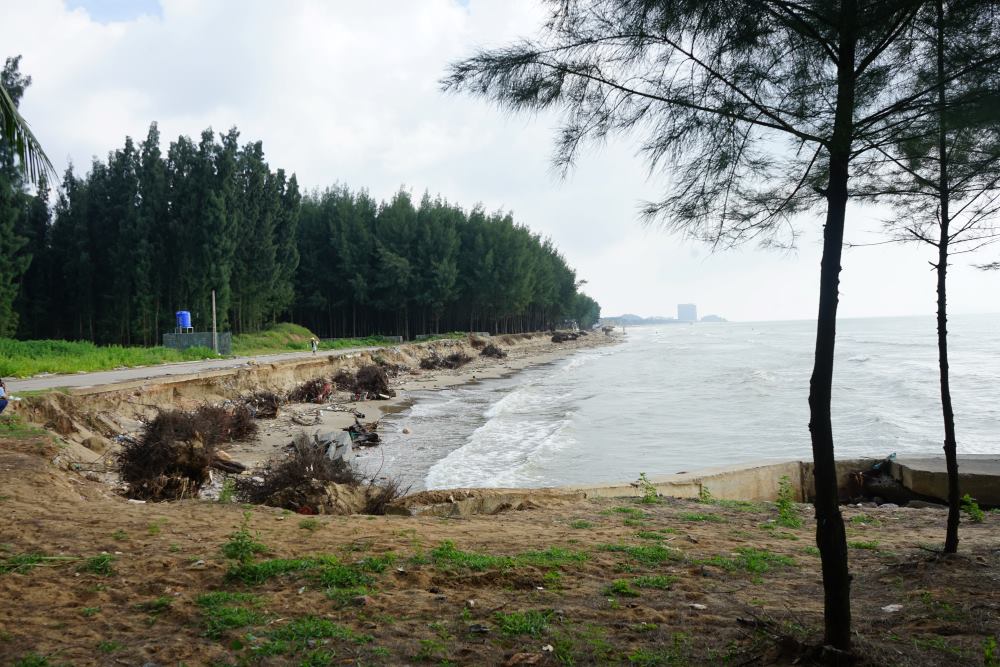 According to records, the coastal area (section passing Van Phong village, Hoang Truong commune, Hoang Hoa district, Thanh Hoa province) is being seriously eroded and eroded. Photo: Quach Du