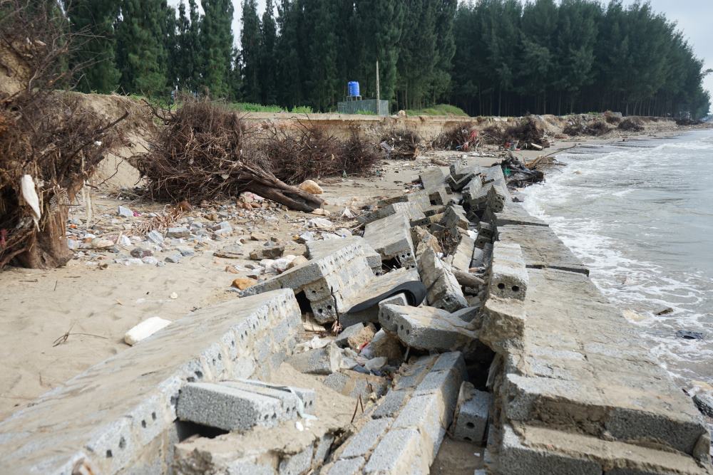 According to many people in Van Phong village, Hoang Truong commune, erosion and landslides along the village's coastline have been occurring for many months. Photo: Quach Du