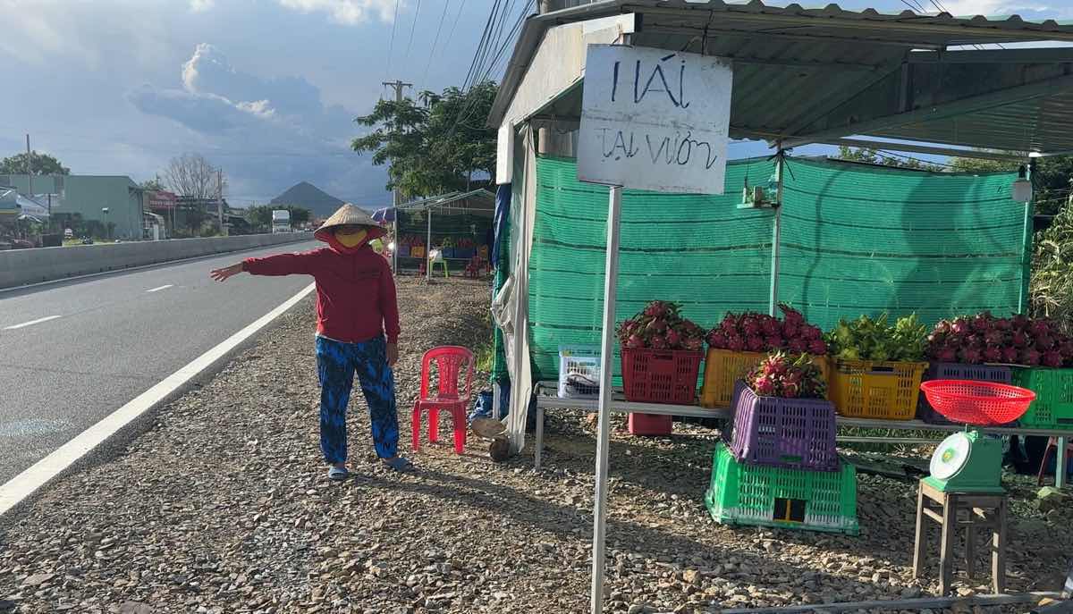 Stalls selling dragon fruit along the road leading to the highway. Photo: Duy Tuan