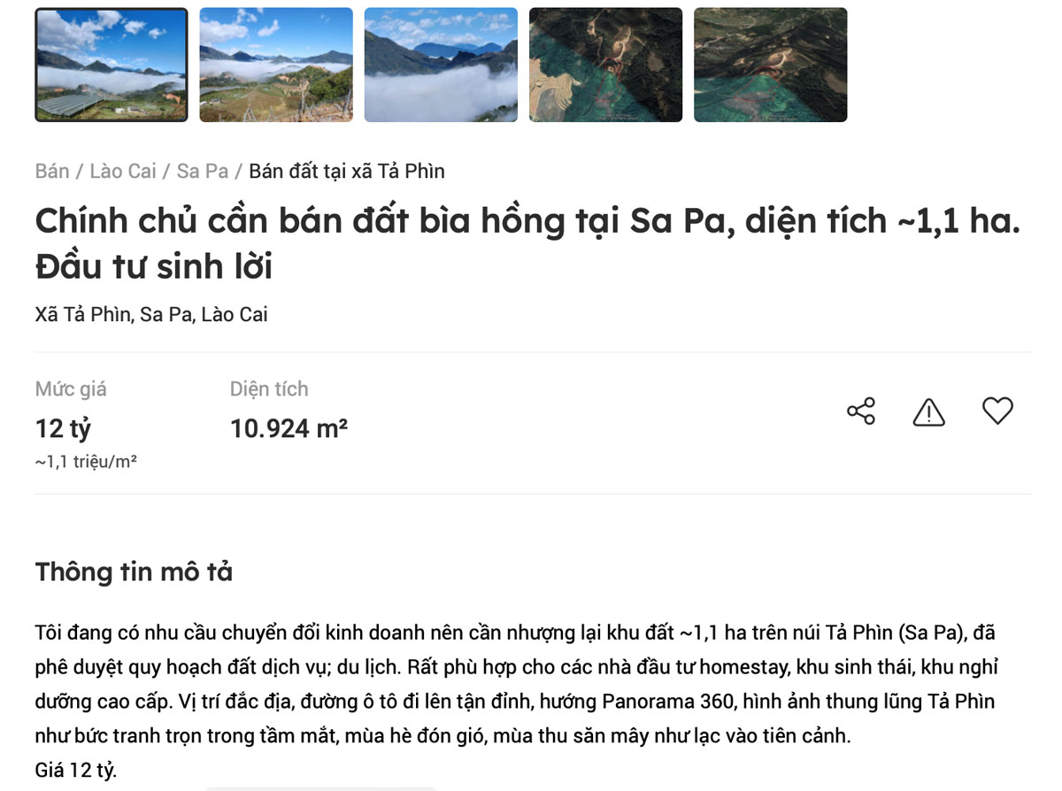 Land plot of 10,924 m2 in Ta Phin is for sale for 12 billion VND. Screenshot