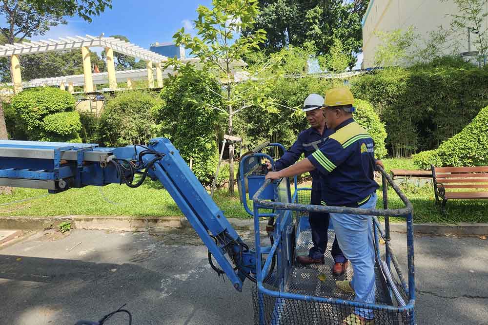 Therefore, units use flycam devices for initial recording and assessment. After that, it will be analyzed using experiences in care and management and will invite tree experts to analyze further.