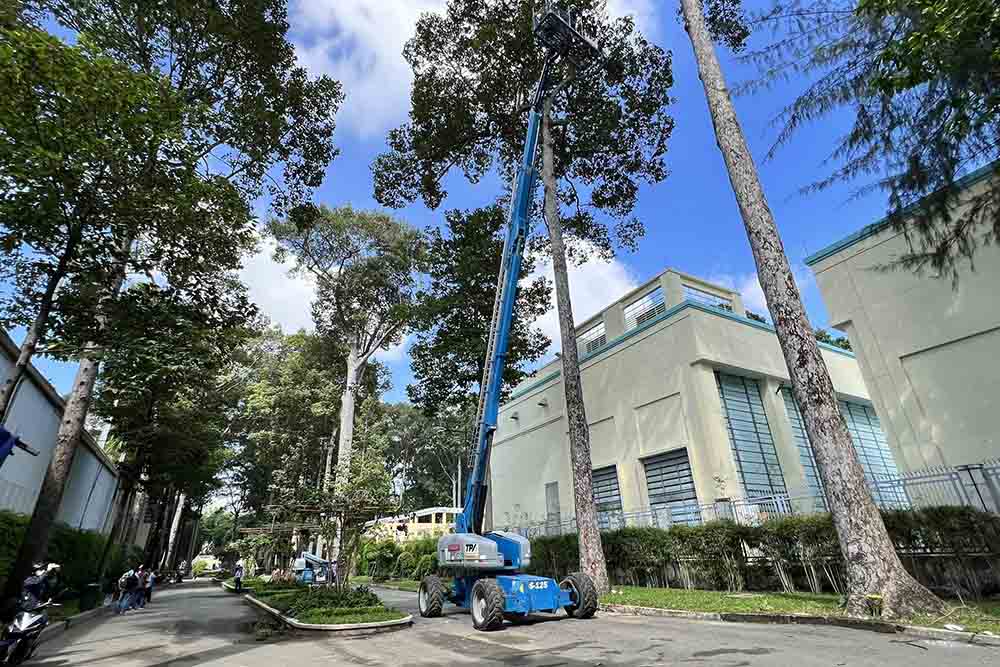 In addition, the Deputy Technical Department of Ho Chi Minh City Green Park Company Limited further informed that tall old trees, in addition to regular care according to technical procedures, will be regularly inspected for defects. to have timely technical measures to minimize incidents for the community.