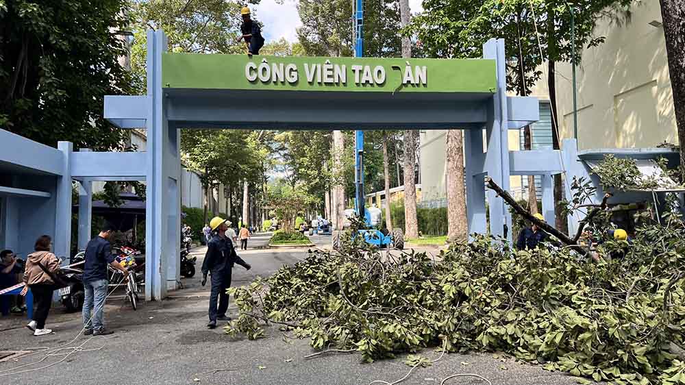 Theo ghi nhận vào ngày 13.8 tại Công viên Tao Đàn (Quận 1), nơi xảy ra sự cố nhánh cây gãy rơi trúng nhóm người tập thể dục khiến 2 người tử vong, Công ty TNHH MTV Công viên cây xanh TPHCM đang dùng các thiết bị chuyên dụng để kiểm tra, đánh giá tình hình sức khoẻ cây xanh. 