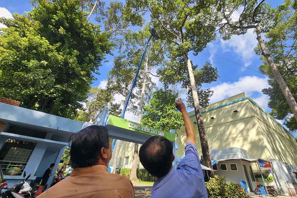 Mr. Nguyen Thanh Son, Deputy Technical Department of Ho Chi Minh City Green Park Company Limited, said that the company has used flycams to enhance inspection and review of overhead branches. At the same time, rent 2 vehicles of 35 - 40m to carry out branch reduction," Mr. Son said.