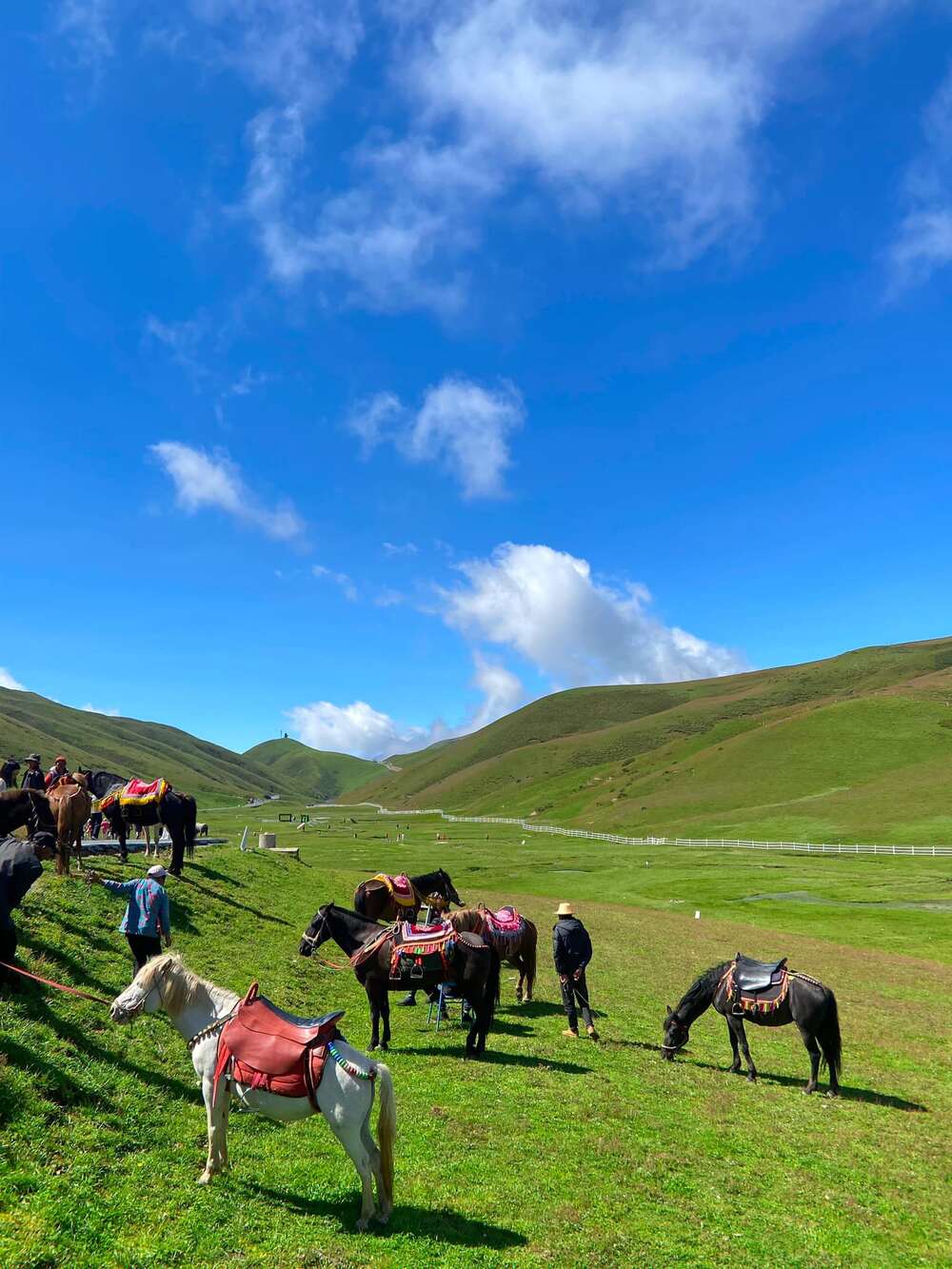 In addition to admiring the picturesque scenery, visitors here can also experience horseback riding for about 10 - 20 yuan or take a tram to the top of the mountain to see the panoramic view of the lake for 10 yuan/turn.