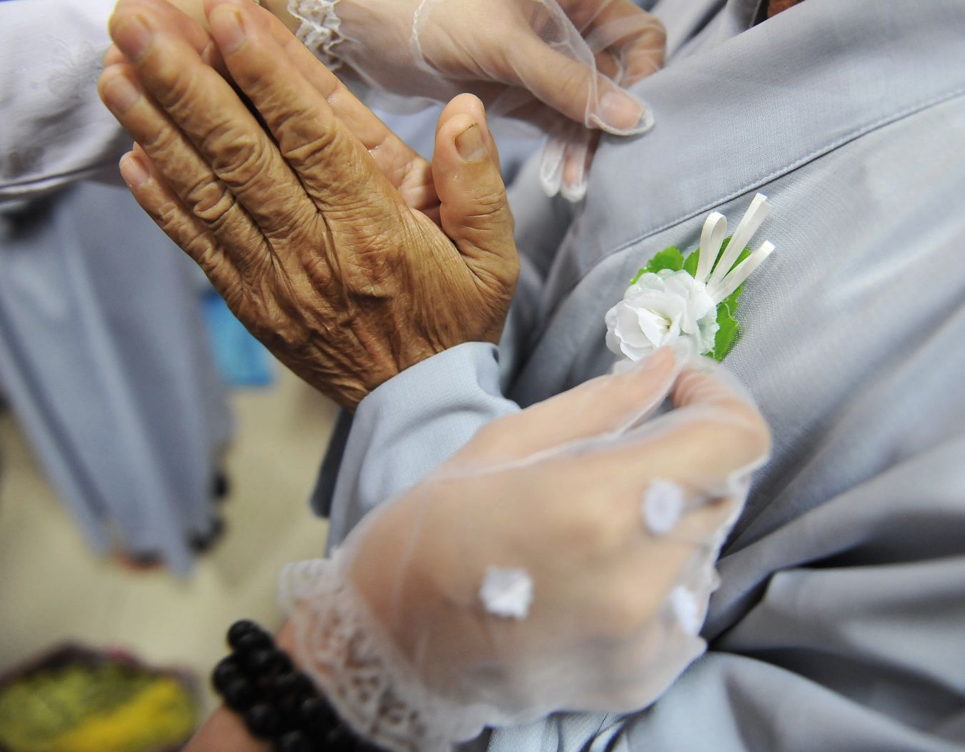 Nỗi buồn của bông hồng trắng.
