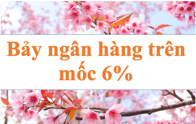Bảy ngân hàng niêm yết lãi suất trên mốc 6%. Ảnh minh họa: Hà Vy