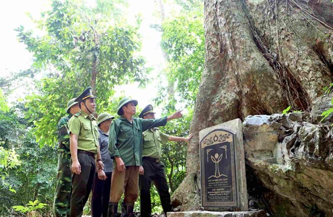 Bản nghèo hiến đất mở đường giữ rừng nguyên sinh