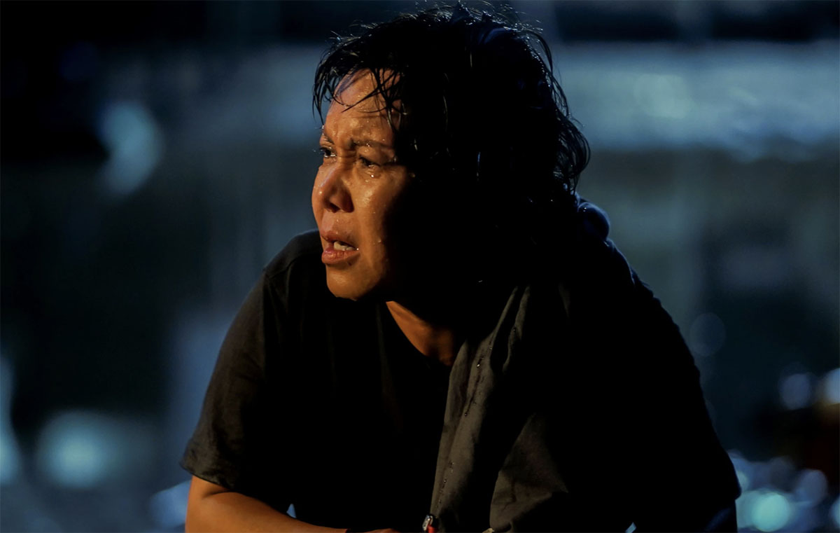 Nghệ sĩ Việt Hương. Ảnh: Nghệ sĩ cung cấp