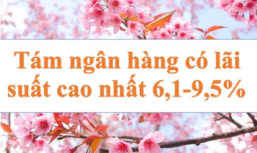 Tám ngân hàng có lãi suất cao nhất 6,1-9,5%.