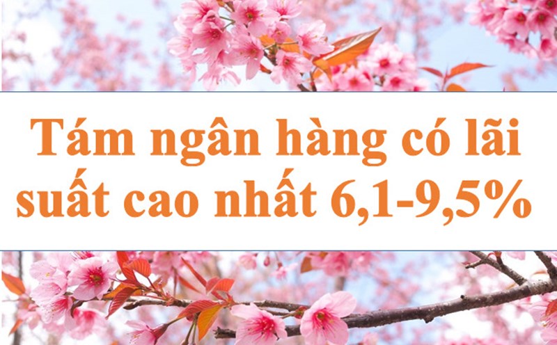 Tám ngân hàng có lãi suất cao nhất 6,1-9,5%.