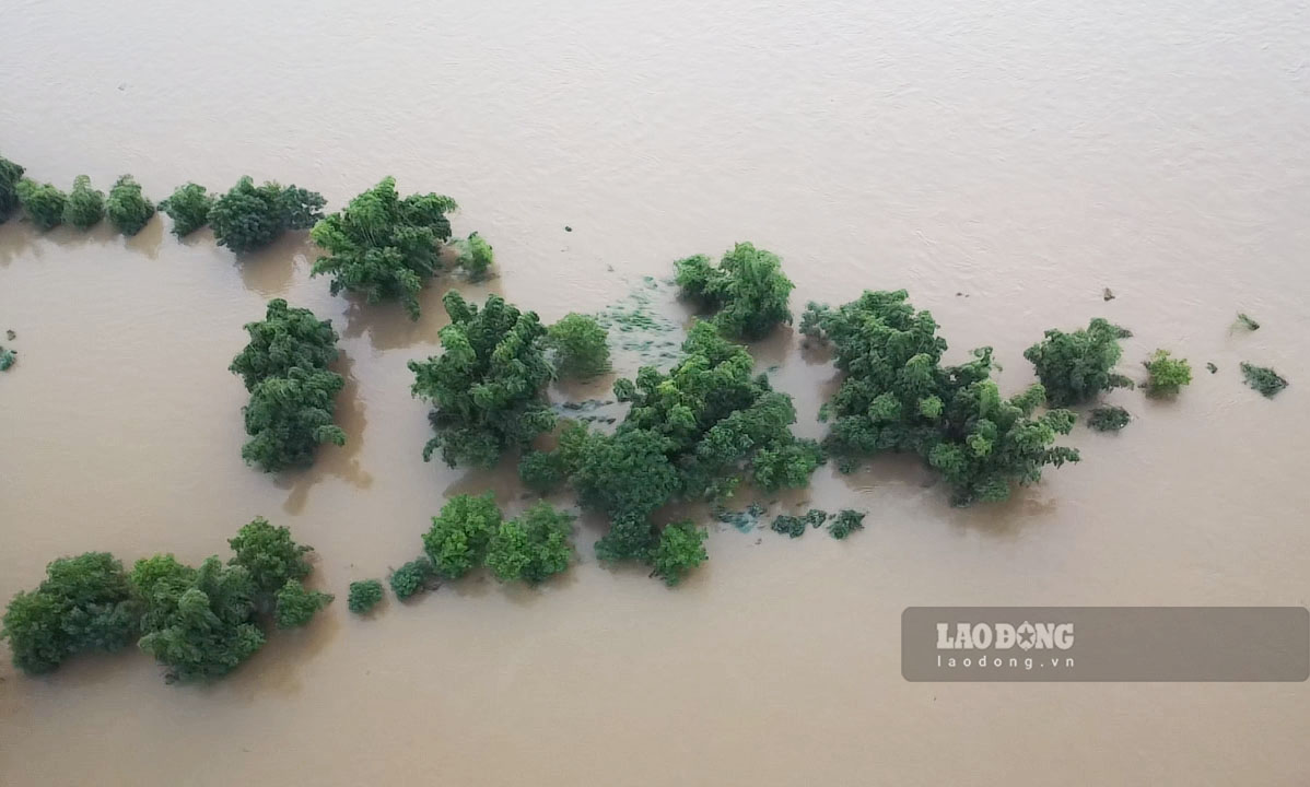 “The area of ​​land that has been eroded is exploited and cultivated by the people themselves, the government does not allocate or lease it. The cause of the landslide was prolonged rain, combined with the hydroelectric plant upstream releasing floodwaters, causing the water level of the Lo River to rise and flow rapidly," Mr. Ket informed.