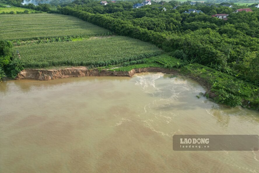 With Lo River, in Tri Quan commune, Phu Ninh district, floods caused landslides close to Ms. Tran Thi Lien's house (in area 10, Tri District commune), causing land and many trees along the river to be swept away by the water. In Tien Du commune (Phu Ninh district), according to the report of the Commune People's Committee, in area 1 there was also a landslide and damage to crops and plants of about 5 households.