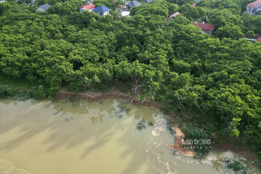 “Đất ven sông này chủ yếu là đất cát pha nên năm nào mưa nhiều là lại sạt lở. Cách vị trí sạt lở này khoảng 200m, có 1 chiếc cống thoát nước từ trong làng chảy ra, khi mưa to nước sẽ cuốn vào đất dưới chân đê, gây sạt lở” - ông Trường chia sẻ.