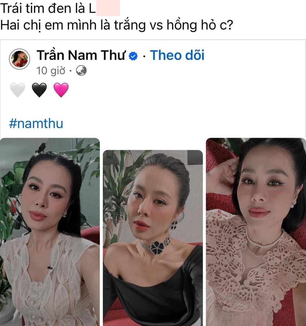 Hình ảnh của Nam Thư được Z.D chia sẻ lại. Ảnh: Chụp màn hình.