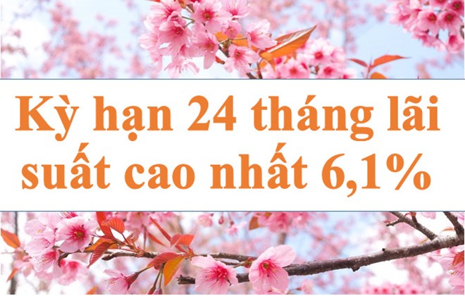 Lãi suất ngân hàng hôm nay 16.8: 24 tháng cao nhất 6,1%