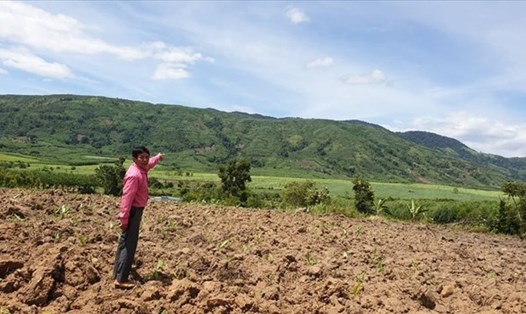 Tăng thêm hình thức bồi thường cho người sử dụng đất khi Nhà nước thu hồi đất. Ảnh minh hoạ: Hữu Long