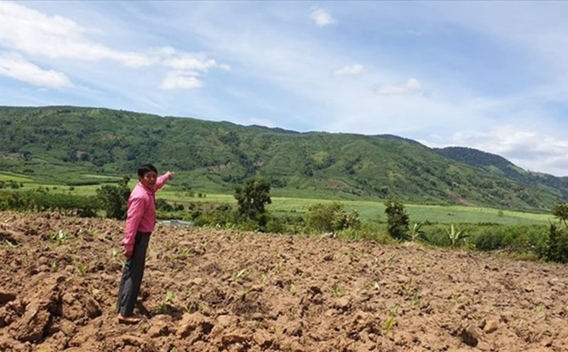 Tăng thêm hình thức bồi thường cho người sử dụng đất khi Nhà nước thu hồi đất. Ảnh minh hoạ: Hữu Long