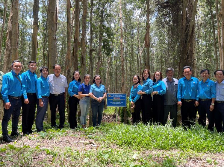 Carrying out the sign-signing ceremony of the project "Nurturing 100 hectares of Melaleuca forest" at Tra Su Melaleuca forest located in Van Giao commune, Tinh Bien town. Photo: Hai Van