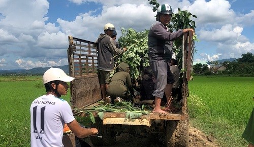 Nhổ mạ non, 2 em nhỏ ở Kon Tum đuối nước tử vong