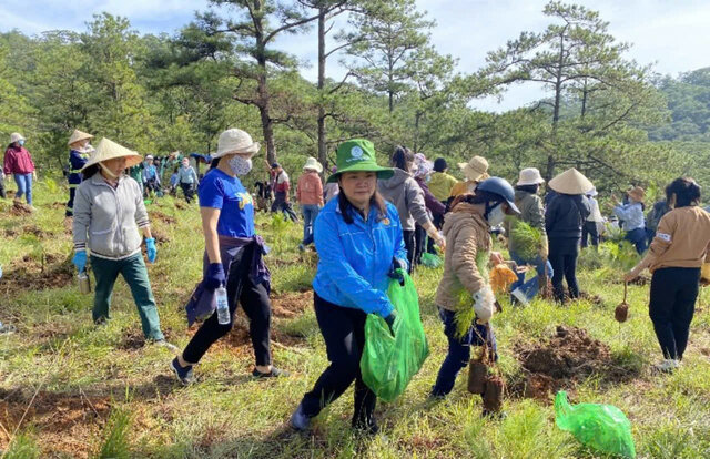 Hơn 500 đoàn viên công đoàn hưởng ứng tham gia trồng 1.000 cây thông ba lá phủ xanh thành phố Đà Lạt. Ảnh: T.LINH