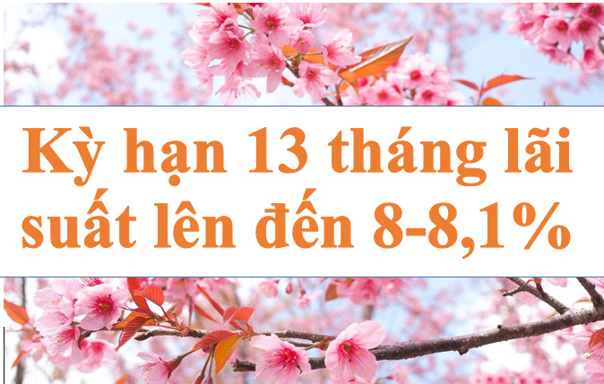 Kỳ hạn 13 tháng lãi suất cao nhất lên đến 8-8,1%.