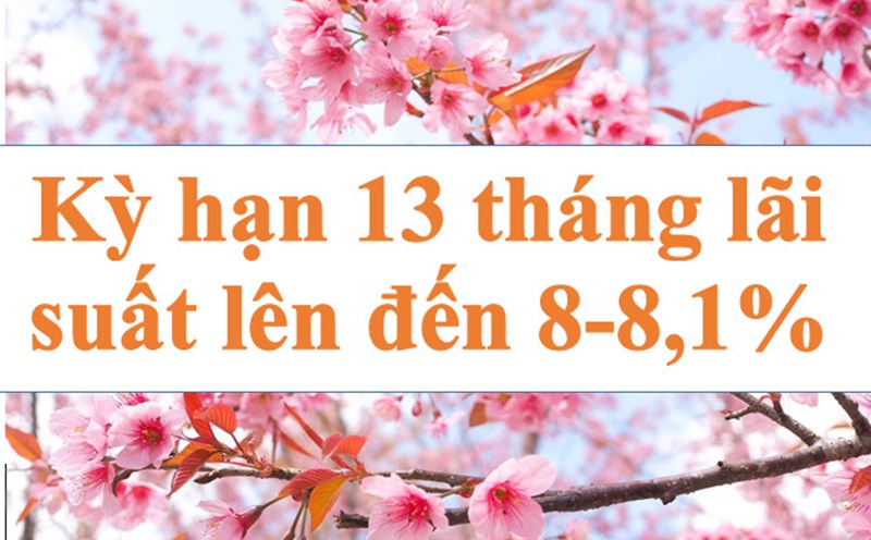 Kỳ hạn 13 tháng lãi suất cao nhất lên đến 8-8,1%.