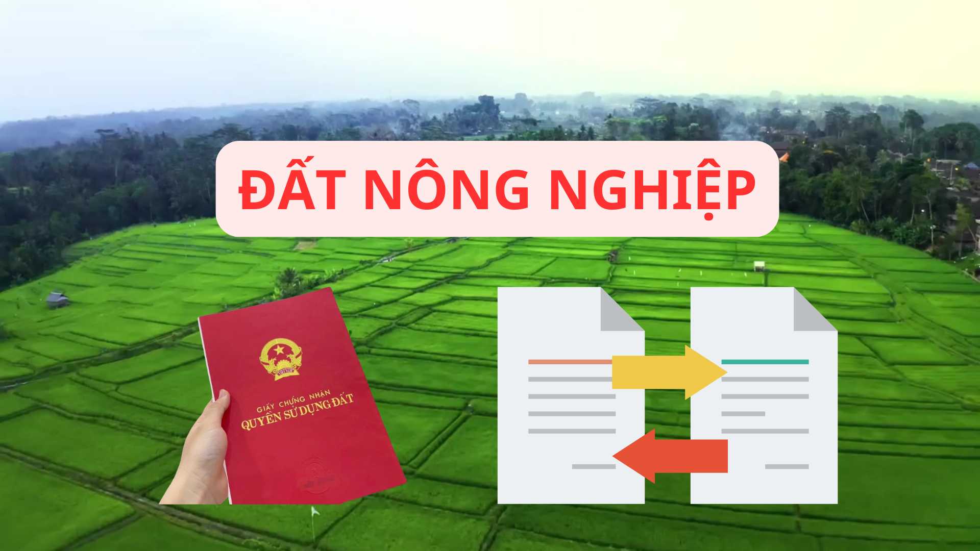 Chuyển đổi quyền sử dụng đất nông nghiệp cần giấy tờ gì?