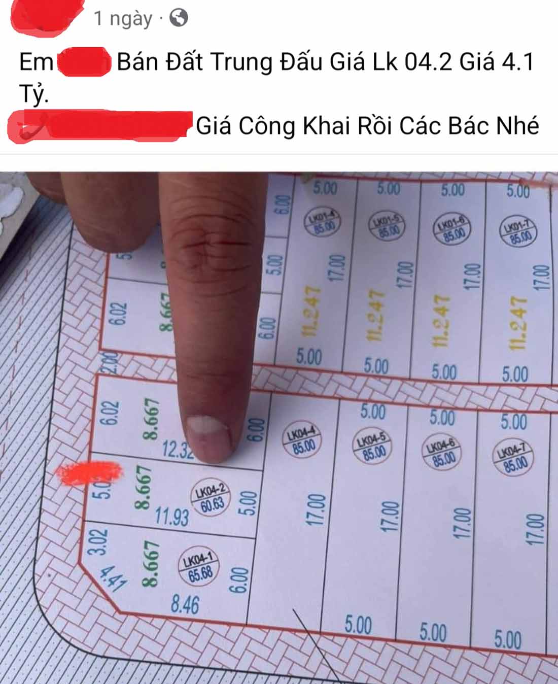 Nhiều lô đất sau khi trúng được rao bán giảm giá. Ảnh: Anh Huy.