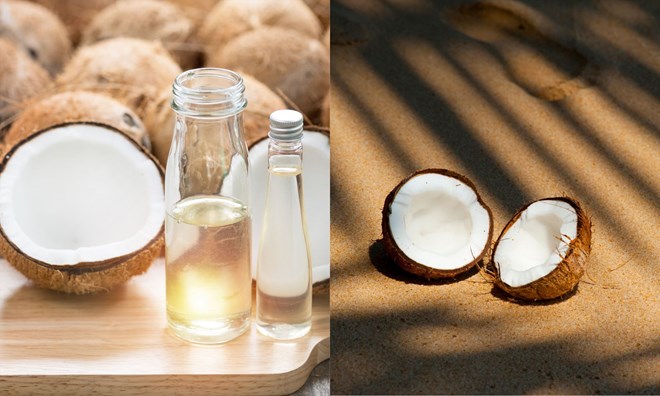 Bảo quản quả dừa đúng cách sẽ giúp bạn giữ được thực phẩm này tươi lâu hơn. Đồ họa: Thùy Dương