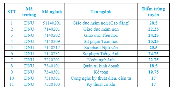 Dong Nai University benchmark score in 2024. Photo: School