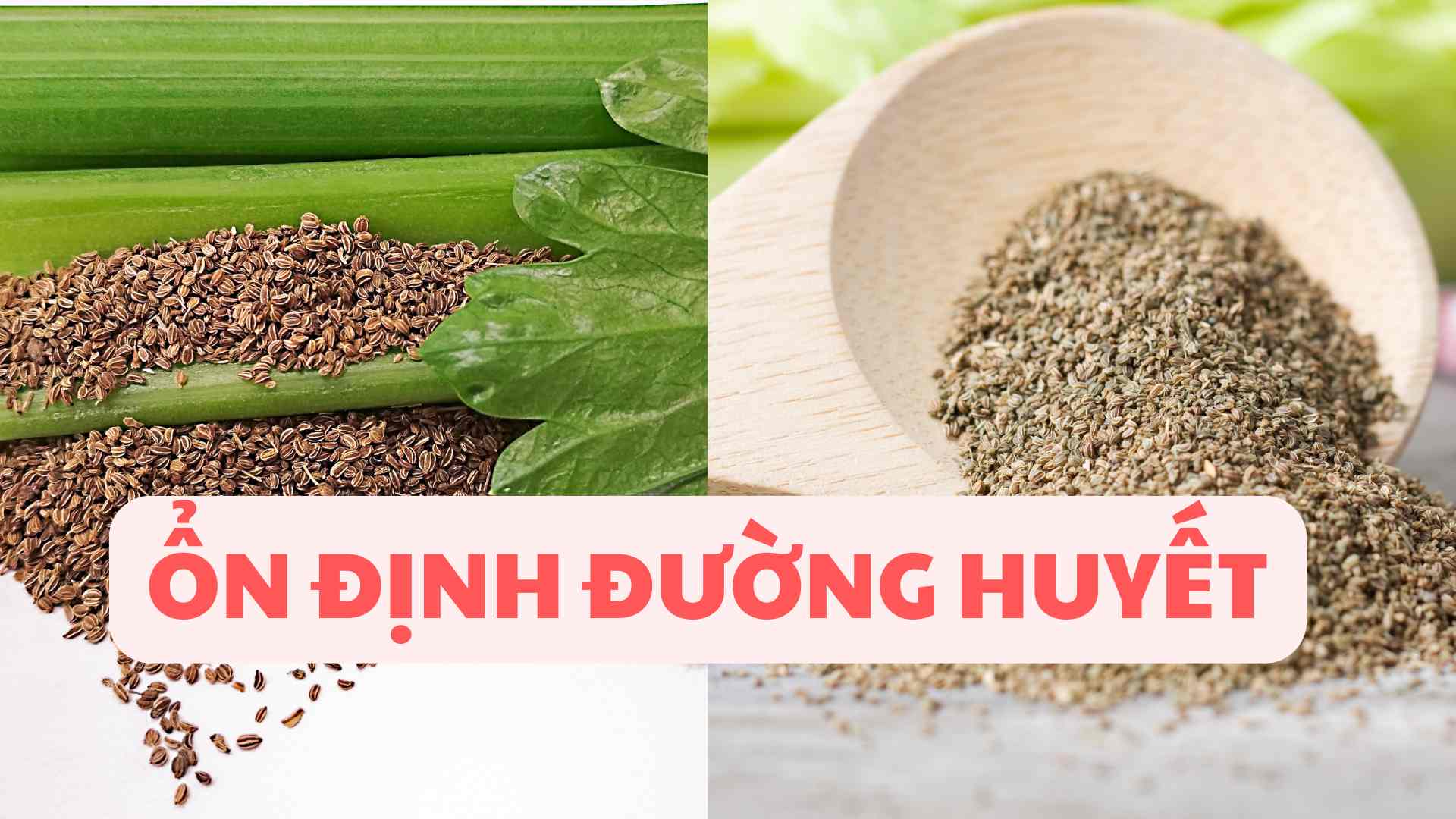 Hạt cần tây có tác dụng ổn định đường huyết. Ảnh đồ họa: Tuệ Nhi