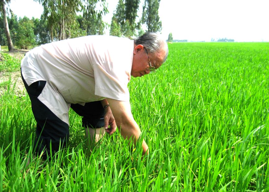 Giáo sư Võ Tòng Xuân thăm ruộng lúa tại huyện Tân Hồng, Đồng Tháp. Ảnh: Lục Tùng 