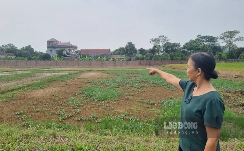 Vu Rai Vụ rải hóa chất phá ruộng dân: Tòa án nói gì?