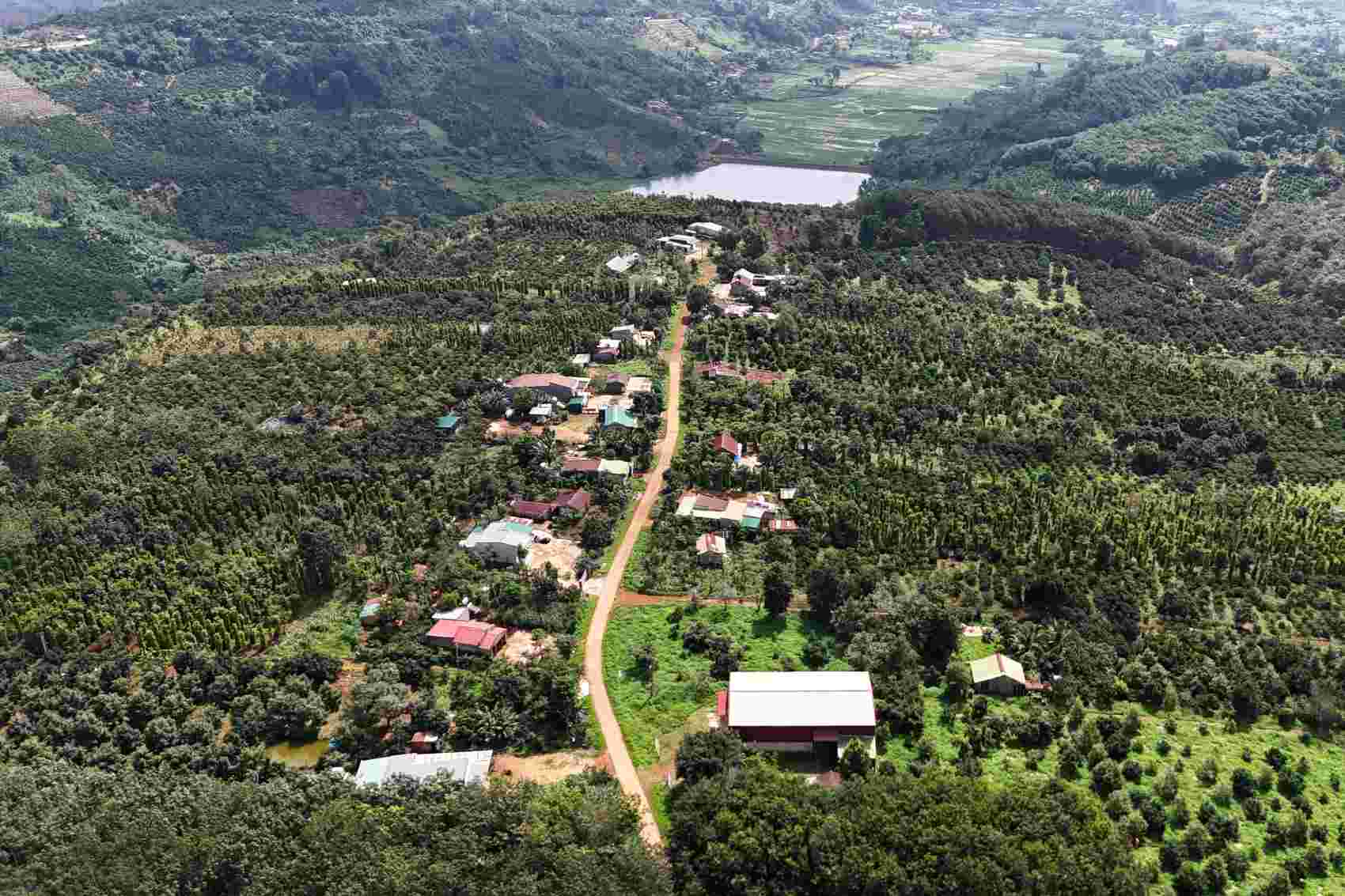 Khu vực thôn 5, xã Quảng Sơn, huyện Đắk Glong, tỉnh Đắk Nông. Ảnh: Nguyễn Quân