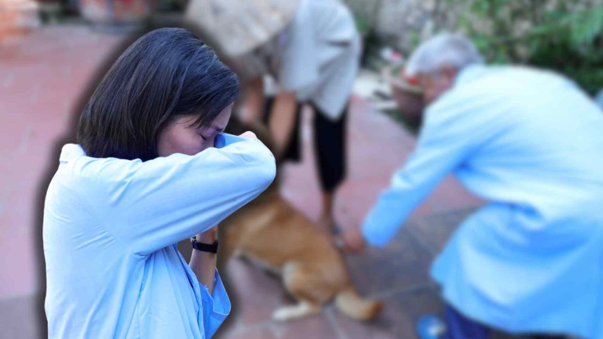 Công việc vất vả nguy hiểm, thú y xã mong mỏi tăng phụ cấp