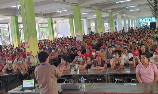 Tuyên truyền, phổ biến các chế độ, chính sách mới đến hàng nghìn người lao động tại Công ty TNHH Giày Aleron Việt Nam. Ảnh: An An