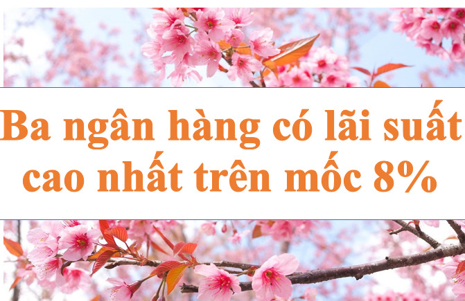 Ba ngân hàng có lãi suất cao nhất trên 8%. Ảnh minh họa: Hà Vy