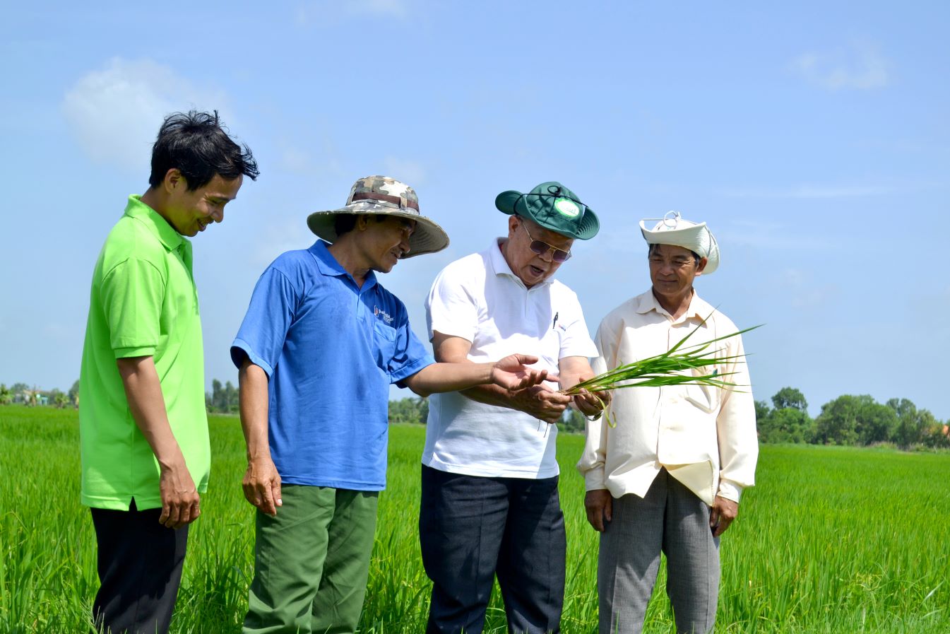 Giáo sư Võ Tòng Xuân trong lần lội đồng hướng dẫn nhà nông ở Long An trồng lúa sạch. Ảnh: Lục Tùng